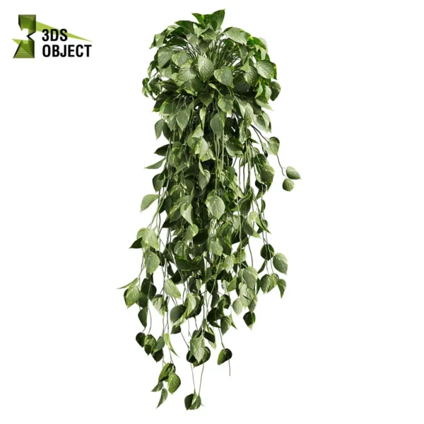3d bush plant models botanical Visualization Landscape Foliage Vegetation buy purchase Rendering Environment tree Design high low poly greenhouse balcony decorative hamedorea 3D architectural visualization cinema 4d 3ds max blender enscpae fbx obj Rhino Sketchup lumion pothos ivy devils hanging araceae ampelous