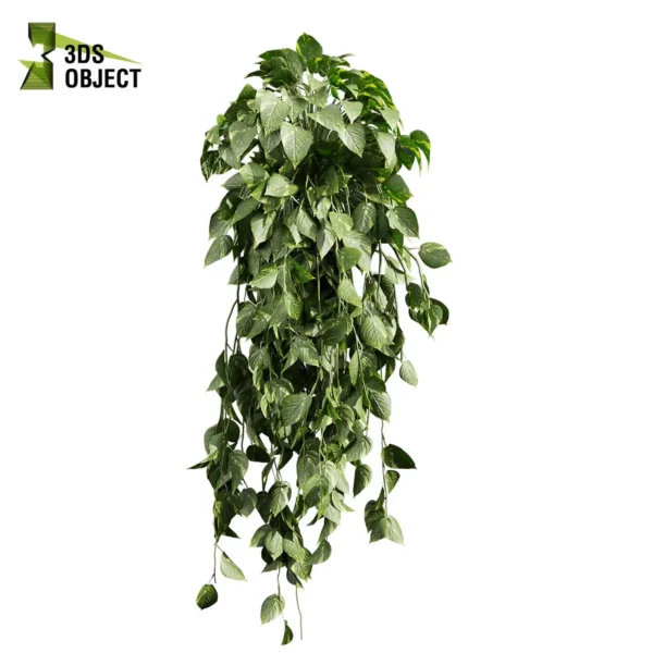 3d bush plant models botanical Visualization Landscape Foliage Vegetation buy purchase Rendering Environment tree Design high low poly greenhouse balcony decorative hamedorea 3D architectural visualization cinema 4d 3ds max blender enscpae fbx obj Rhino Sketchup lumion pothos ivy devils hanging araceae ampelous