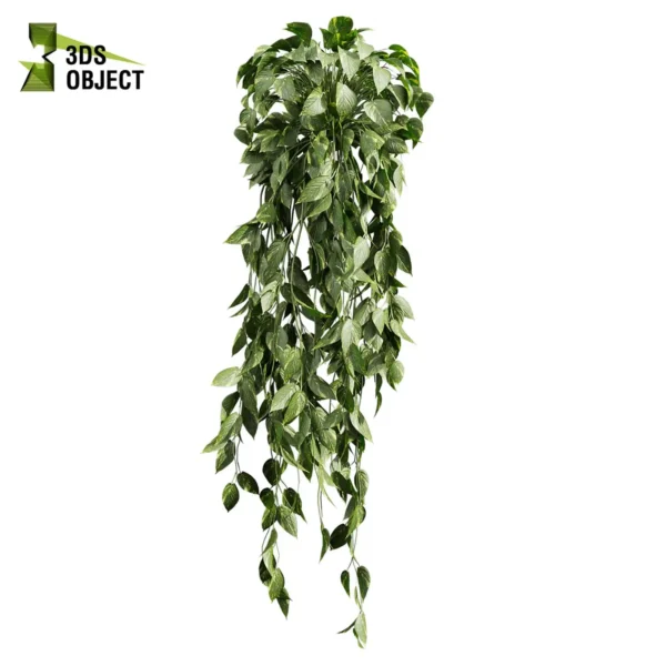 3d bush plant models botanical Visualization Landscape Foliage Vegetation buy purchase Rendering Environment tree Design high low poly greenhouse balcony decorative hamedorea 3D architectural visualization cinema 4d 3ds max blender enscpae fbx obj Rhino Sketchup lumion pothos ivy devils hanging araceae ampelous