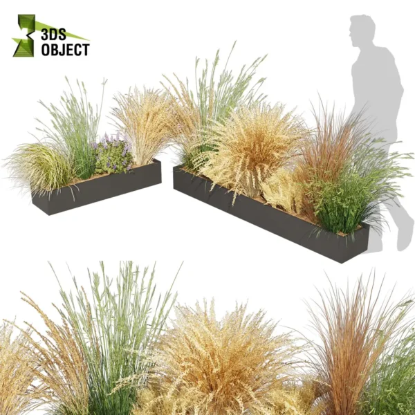 3d bush plant models botanical Visualization Landscape Foliage Vegetation buy purchase Rendering Environment tree Design high low poly greenhouse balcony decorative hamedorea 3D architectural visualization cinema 4d 3ds max blender enscpae fbx obj Rhino Sketchup lumion lupinus albifrons dichelachne crinita longhair plume calamagrostis acutiflora karl foerster carex comans curls