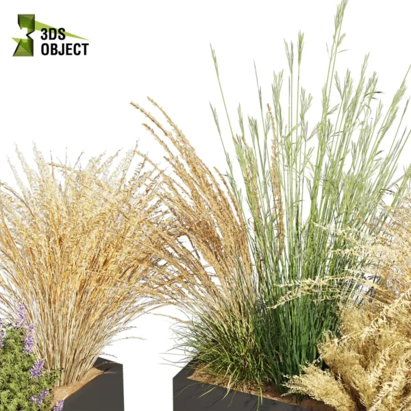 3d bush plant models botanical Visualization Landscape Foliage Vegetation buy purchase Rendering Environment tree Design high low poly greenhouse balcony decorative hamedorea 3D architectural visualization cinema 4d 3ds max blender enscpae fbx obj Rhino Sketchup lumion lupinus albifrons dichelachne crinita longhair plume calamagrostis acutiflora karl foerster carex comans curls