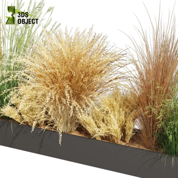 3d bush plant models botanical Visualization Landscape Foliage Vegetation buy purchase Rendering Environment tree Design high low poly greenhouse balcony decorative hamedorea 3D architectural visualization cinema 4d 3ds max blender enscpae fbx obj Rhino Sketchup lumion lupinus albifrons dichelachne crinita longhair plume calamagrostis acutiflora karl foerster carex comans curls