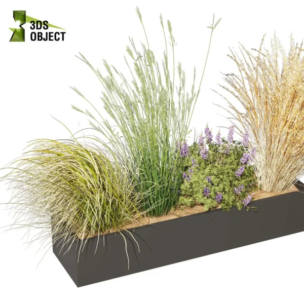 3d bush plant models botanical Visualization Landscape Foliage Vegetation buy purchase Rendering Environment tree Design high low poly greenhouse balcony decorative hamedorea 3D architectural visualization cinema 4d 3ds max blender enscpae fbx obj Rhino Sketchup lumion lupinus albifrons dichelachne crinita longhair plume calamagrostis acutiflora karl foerster carex comans curls