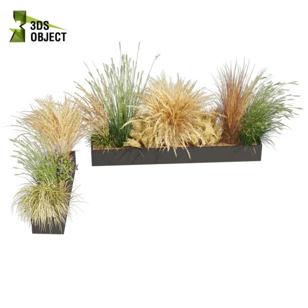 3d bush plant models botanical Visualization Landscape Foliage Vegetation buy purchase Rendering Environment tree Design high low poly greenhouse balcony decorative hamedorea 3D architectural visualization cinema 4d 3ds max blender enscpae fbx obj Rhino Sketchup lumion lupinus albifrons dichelachne crinita longhair plume calamagrostis acutiflora karl foerster carex comans curls