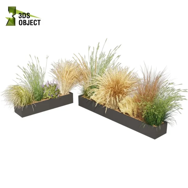 3d bush plant models botanical Visualization Landscape Foliage Vegetation buy purchase Rendering Environment tree Design high low poly greenhouse balcony decorative hamedorea 3D architectural visualization cinema 4d 3ds max blender enscpae fbx obj Rhino Sketchup lumion lupinus albifrons dichelachne crinita longhair plume calamagrostis acutiflora karl foerster carex comans curls