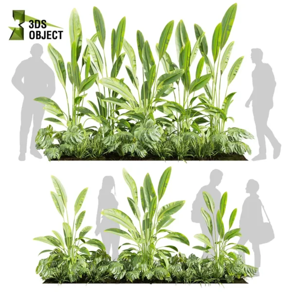 3d bush plant models botanical Visualization Landscape Foliage Vegetation buy purchase Rendering Environment tree Design high low poly greenhouse balcony decorative hamedorea 3D architectural visualization cinema 4d 3ds max blender enscpae fbx obj Rhino Sketchup lumion banana monstera grass garden