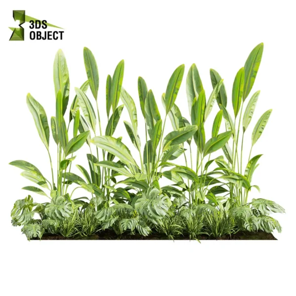 3d bush plant models botanical Visualization Landscape Foliage Vegetation buy purchase Rendering Environment tree Design high low poly greenhouse balcony decorative hamedorea 3D architectural visualization cinema 4d 3ds max blender enscpae fbx obj Rhino Sketchup lumion banana monstera grass garden