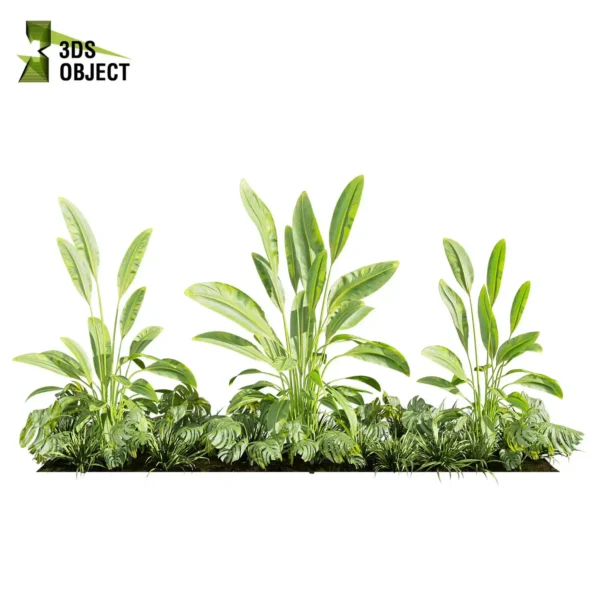 3d bush plant models botanical Visualization Landscape Foliage Vegetation buy purchase Rendering Environment tree Design high low poly greenhouse balcony decorative hamedorea 3D architectural visualization cinema 4d 3ds max blender enscpae fbx obj Rhino Sketchup lumion banana monstera grass garden