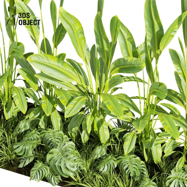 3d bush plant models botanical Visualization Landscape Foliage Vegetation buy purchase Rendering Environment tree Design high low poly greenhouse balcony decorative hamedorea 3D architectural visualization cinema 4d 3ds max blender enscpae fbx obj Rhino Sketchup lumion banana monstera grass garden