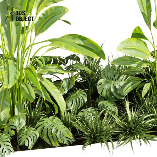 3d bush plant models botanical Visualization Landscape Foliage Vegetation buy purchase Rendering Environment tree Design high low poly greenhouse balcony decorative hamedorea 3D architectural visualization cinema 4d 3ds max blender enscpae fbx obj Rhino Sketchup lumion banana monstera grass garden