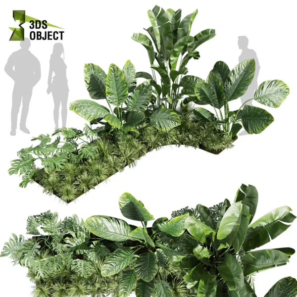 3d bush plant models botanical Visualization Landscape Foliage Vegetation buy purchase Rendering Environment tree Design high low poly greenhouse balcony decorative hamedorea 3D architectural visualization cinema 4d 3ds max blender enscpae fbx obj Rhino Sketchup lumion banana taro monstera grass garden
