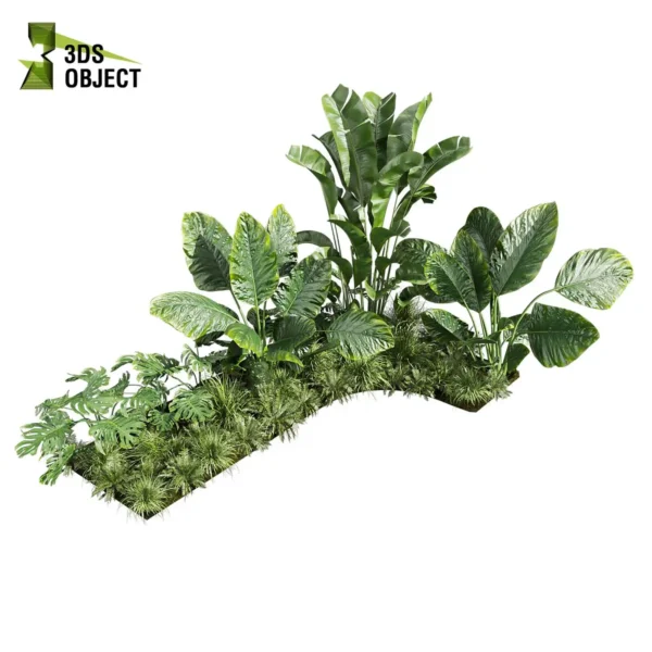3d bush plant models botanical Visualization Landscape Foliage Vegetation buy purchase Rendering Environment tree Design high low poly greenhouse balcony decorative hamedorea 3D architectural visualization cinema 4d 3ds max blender enscpae fbx obj Rhino Sketchup lumion banana taro monstera grass garden