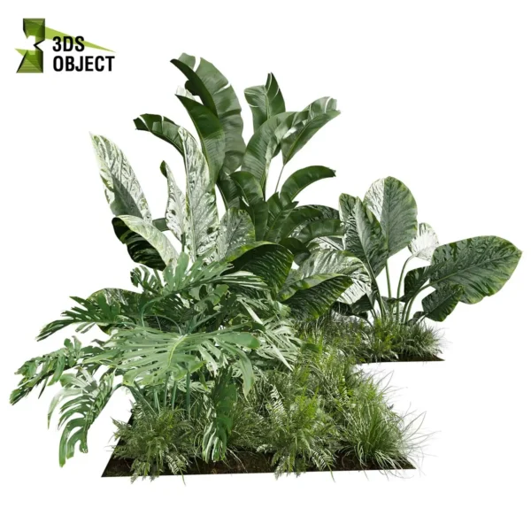 3d bush plant models botanical Visualization Landscape Foliage Vegetation buy purchase Rendering Environment tree Design high low poly greenhouse balcony decorative hamedorea 3D architectural visualization cinema 4d 3ds max blender enscpae fbx obj Rhino Sketchup lumion banana taro monstera grass garden