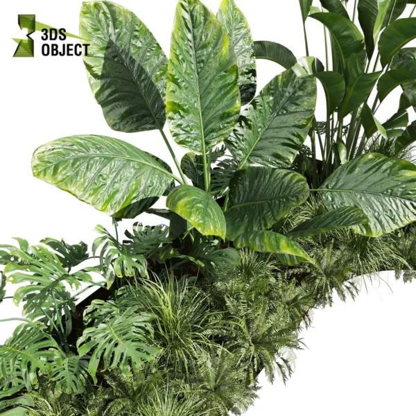 3d bush plant models botanical Visualization Landscape Foliage Vegetation buy purchase Rendering Environment tree Design high low poly greenhouse balcony decorative hamedorea 3D architectural visualization cinema 4d 3ds max blender enscpae fbx obj Rhino Sketchup lumion banana taro monstera grass garden