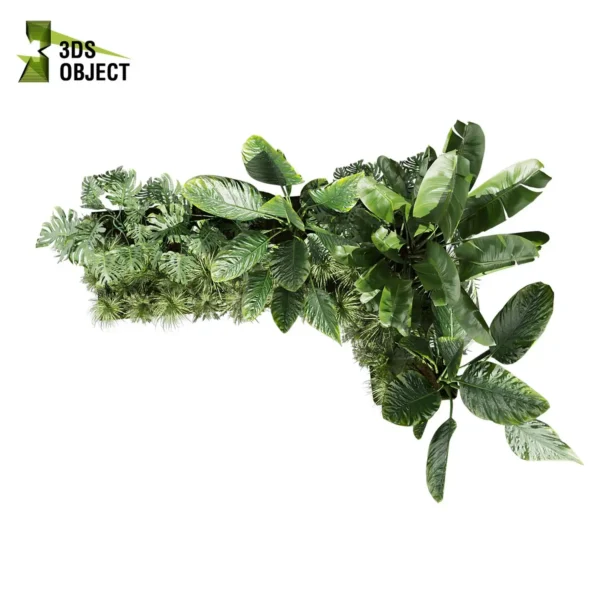 3d bush plant models botanical Visualization Landscape Foliage Vegetation buy purchase Rendering Environment tree Design high low poly greenhouse balcony decorative hamedorea 3D architectural visualization cinema 4d 3ds max blender enscpae fbx obj Rhino Sketchup lumion banana taro monstera grass garden