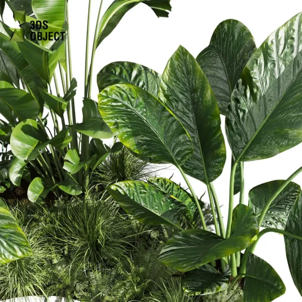 3d bush plant models botanical Visualization Landscape Foliage Vegetation buy purchase Rendering Environment tree Design high low poly greenhouse balcony decorative hamedorea 3D architectural visualization cinema 4d 3ds max blender enscpae fbx obj Rhino Sketchup lumion banana taro monstera grass garden