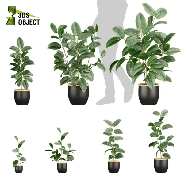 3d bush plant models botanical Visualization Landscape Foliage Vegetation buy purchase Rendering Environment tree Design high low poly greenhouse balcony decorative hamedorea 3D architectural visualization cinema 4d 3ds max blender enscpae fbx obj Rhino Sketchup lumion rubber ficus elastica pot