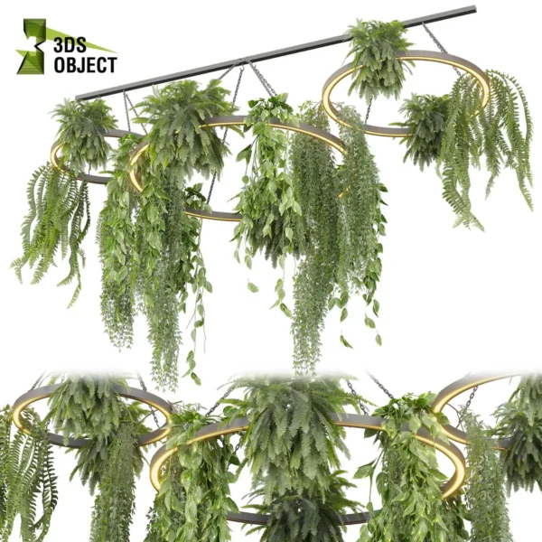 3d bush plant models botanical Visualization Landscape Foliage Vegetation buy purchase Rendering Environment tree Design high low poly greenhouse balcony decorative hamedorea 3D architectural visualization cinema 4d 3ds max blender enscpae fbx obj Rhino Sketchup lumion fern lady hanging ampelous chandelier pothos