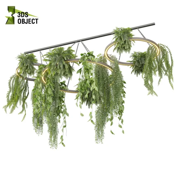 3d bush plant models botanical Visualization Landscape Foliage Vegetation buy purchase Rendering Environment tree Design high low poly greenhouse balcony decorative hamedorea 3D architectural visualization cinema 4d 3ds max blender enscpae fbx obj Rhino Sketchup lumion fern lady hanging ampelous chandelier pothos
