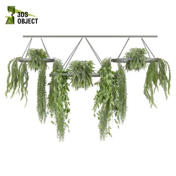 3d bush plant models botanical Visualization Landscape Foliage Vegetation buy purchase Rendering Environment tree Design high low poly greenhouse balcony decorative hamedorea 3D architectural visualization cinema 4d 3ds max blender enscpae fbx obj Rhino Sketchup lumion fern lady hanging ampelous chandelier pothos