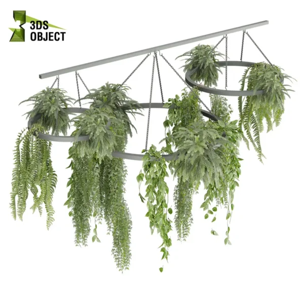 3d bush plant models botanical Visualization Landscape Foliage Vegetation buy purchase Rendering Environment tree Design high low poly greenhouse balcony decorative hamedorea 3D architectural visualization cinema 4d 3ds max blender enscpae fbx obj Rhino Sketchup lumion fern lady hanging ampelous chandelier pothos