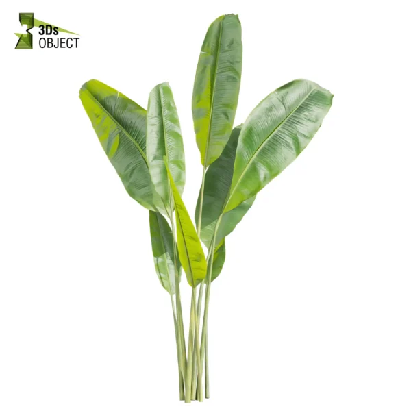 3d bush plant models botanical Visualization Landscape Foliage Vegetation buy purchase Rendering Environment tree Design high low poly greenhouse balcony decorative hamedorea 3D architectural visualization cinema 4d 3ds max blender enscpae fbx obj Rhino Sketchup lumion banana monstera grass garden