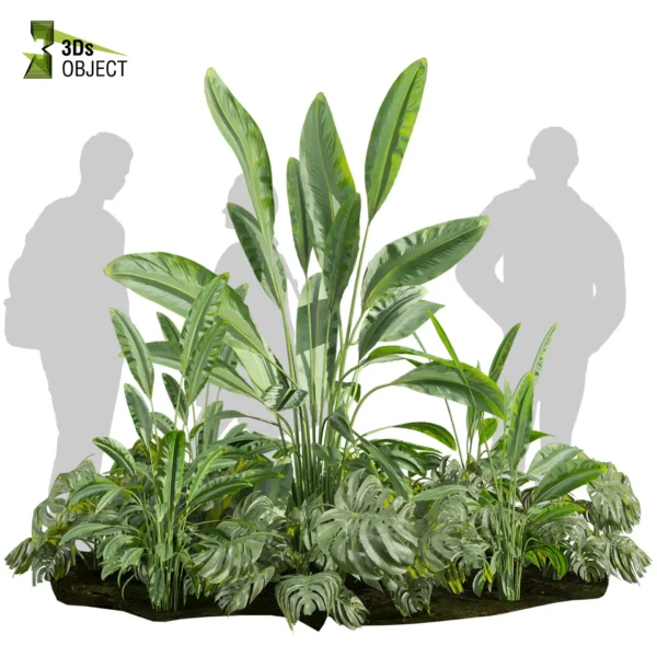 3d bush plant models botanical Visualization Landscape Foliage Vegetation buy purchase Rendering Environment tree Design high low poly greenhouse balcony decorative hamedorea 3D architectural visualization cinema 4d 3ds max blender enscpae fbx obj Rhino Sketchup lumion banana taro monstera grass garden