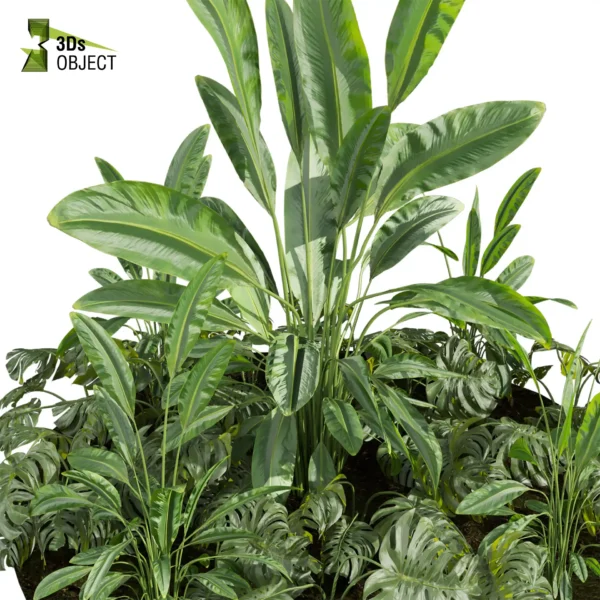 3d bush plant models botanical Visualization Landscape Foliage Vegetation buy purchase Rendering Environment tree Design high low poly greenhouse balcony decorative hamedorea 3D architectural visualization cinema 4d 3ds max blender enscpae fbx obj Rhino Sketchup lumion banana taro monstera grass garden