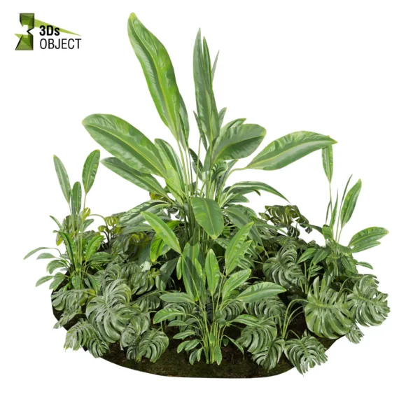 3d bush plant models botanical Visualization Landscape Foliage Vegetation buy purchase Rendering Environment tree Design high low poly greenhouse balcony decorative hamedorea 3D architectural visualization cinema 4d 3ds max blender enscpae fbx obj Rhino Sketchup lumion banana taro monstera grass garden