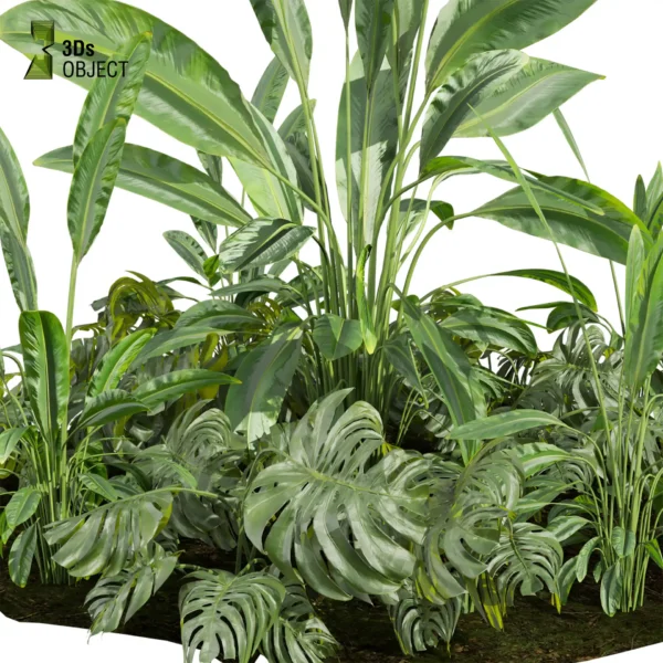 3d bush plant models botanical Visualization Landscape Foliage Vegetation buy purchase Rendering Environment tree Design high low poly greenhouse balcony decorative hamedorea 3D architectural visualization cinema 4d 3ds max blender enscpae fbx obj Rhino Sketchup lumion banana taro monstera grass garden