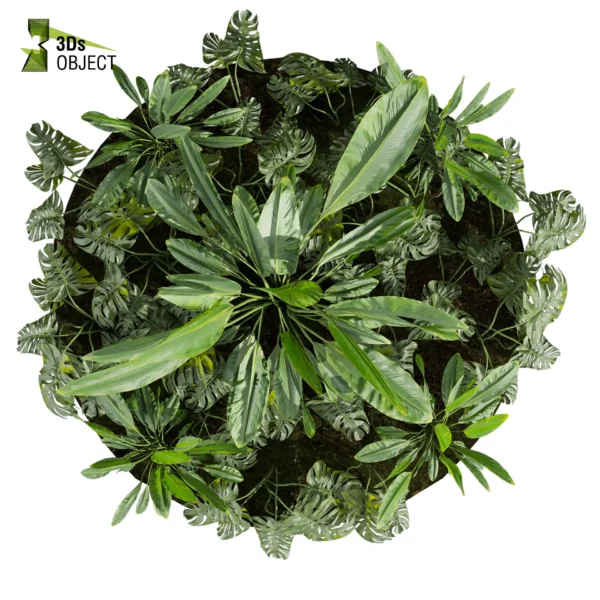 3d bush plant models botanical Visualization Landscape Foliage Vegetation buy purchase Rendering Environment tree Design high low poly greenhouse balcony decorative hamedorea 3D architectural visualization cinema 4d 3ds max blender enscpae fbx obj Rhino Sketchup lumion banana taro monstera grass garden