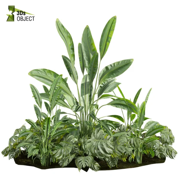 3d bush plant models botanical Visualization Landscape Foliage Vegetation buy purchase Rendering Environment tree Design high low poly greenhouse balcony decorative hamedorea 3D architectural visualization cinema 4d 3ds max blender enscpae fbx obj Rhino Sketchup lumion banana taro monstera grass garden