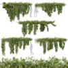 3d bush plant models botanical Visualization Landscape Foliage Vegetation buy purchase Rendering Environment tree Design high low poly greenhouse balcony decorative hamedorea 3D architectural visualization cinema 4d 3ds max blender enscpae fbx obj Rhino Sketchup lumion ivy creeper
