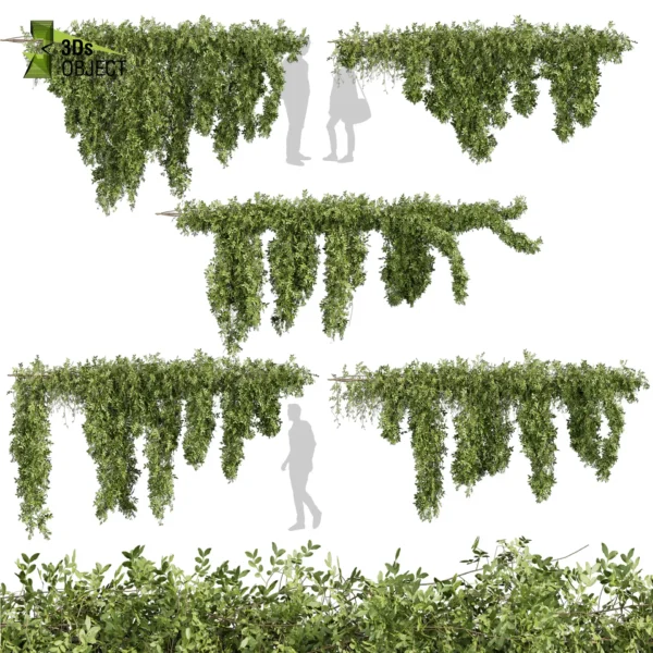 3d bush plant models botanical Visualization Landscape Foliage Vegetation buy purchase Rendering Environment tree Design high low poly greenhouse balcony decorative hamedorea 3D architectural visualization cinema 4d 3ds max blender enscpae fbx obj Rhino Sketchup lumion ivy creeper