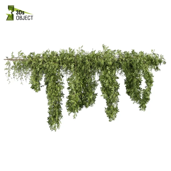 3d bush plant models botanical Visualization Landscape Foliage Vegetation buy purchase Rendering Environment tree Design high low poly greenhouse balcony decorative hamedorea 3D architectural visualization cinema 4d 3ds max blender enscpae fbx obj Rhino Sketchup lumion ivy creeper