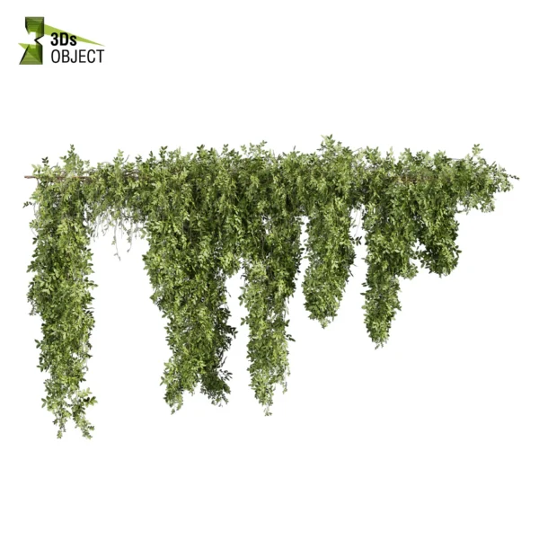 3d bush plant models botanical Visualization Landscape Foliage Vegetation buy purchase Rendering Environment tree Design high low poly greenhouse balcony decorative hamedorea 3D architectural visualization cinema 4d 3ds max blender enscpae fbx obj Rhino Sketchup lumion ivy creeper