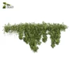 3d bush plant models botanical Visualization Landscape Foliage Vegetation buy purchase Rendering Environment tree Design high low poly greenhouse balcony decorative hamedorea 3D architectural visualization cinema 4d 3ds max blender enscpae fbx obj Rhino Sketchup lumion ivy creeper