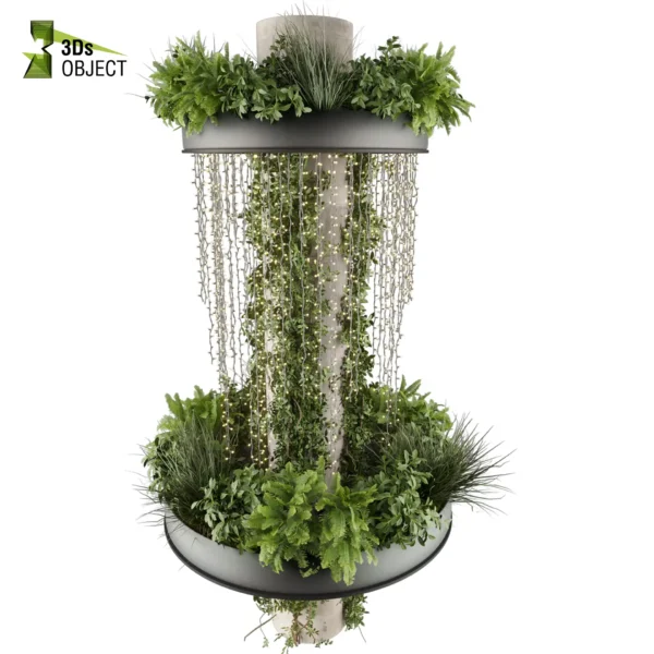 3d bush plant models botanical Visualization Landscape Foliage Vegetation buy purchase Rendering Environment tree Design high low poly greenhouse balcony decorative hamedorea 3D architectural visualization cinema 4d 3ds max blender enscpae fbx obj Rhino Sketchup lumion fern monstera ivy hanging ampelous