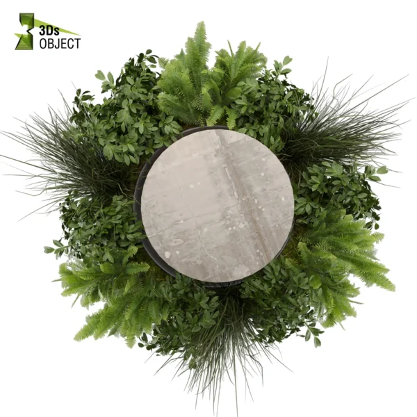 3d bush plant models botanical Visualization Landscape Foliage Vegetation buy purchase Rendering Environment tree Design high low poly greenhouse balcony decorative hamedorea 3D architectural visualization cinema 4d 3ds max blender enscpae fbx obj Rhino Sketchup lumion fern monstera ivy hanging ampelous