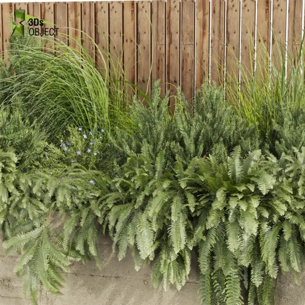 3d bush plant models botanical Visualization Landscape Foliage Vegetation buy purchase Rendering Environment tree Design high low poly greenhouse balcony decorative hamedorea 3D architectural visualization cinema 4d 3ds max blender enscpae fbx obj Rhino Sketchup lumion banana taro monstera grass garden