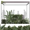 3d bush plant models botanical Visualization Landscape Foliage Vegetation buy purchase Rendering Environment tree Design high low poly greenhouse balcony decorative hamedorea 3D architectural visualization cinema 4d 3ds max blender enscpae fbx obj Rhino Sketchup lumion banana taro monstera grass garden