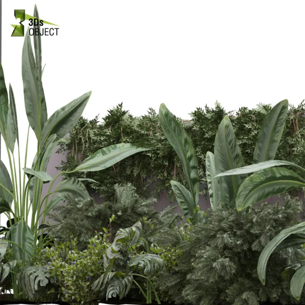 3d bush plant models botanical Visualization Landscape Foliage Vegetation buy purchase Rendering Environment tree Design high low poly greenhouse balcony decorative hamedorea 3D architectural visualization cinema 4d 3ds max blender enscpae fbx obj Rhino Sketchup lumion banana taro monstera grass garden