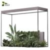 3d bush plant models botanical Visualization Landscape Foliage Vegetation buy purchase Rendering Environment tree Design high low poly greenhouse balcony decorative hamedorea 3D architectural visualization cinema 4d 3ds max blender enscpae fbx obj Rhino Sketchup lumion banana taro monstera grass garden