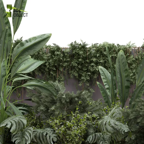 3d bush plant models botanical Visualization Landscape Foliage Vegetation buy purchase Rendering Environment tree Design high low poly greenhouse balcony decorative hamedorea 3D architectural visualization cinema 4d 3ds max blender enscpae fbx obj Rhino Sketchup lumion banana taro monstera grass garden