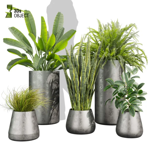 3d bush plant models botanical Visualization Landscape Foliage Vegetation buy purchase Rendering Environment tree Design high low poly greenhouse balcony decorative hamedorea 3D architectural visualization cinema 4d 3ds max blender enscpae fbx obj Rhino Sketchup lumion banana fern sansveria rubber grass purchase low poly