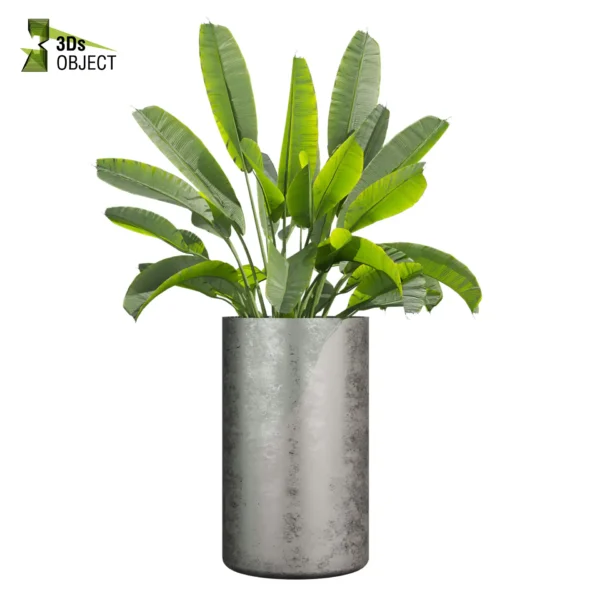 3d bush plant models botanical Visualization Landscape Foliage Vegetation buy purchase Rendering Environment tree Design high low poly greenhouse balcony decorative hamedorea 3D architectural visualization cinema 4d 3ds max blender enscpae fbx obj Rhino Sketchup lumion pot banana fern sansveria rubber grass purchase low poly