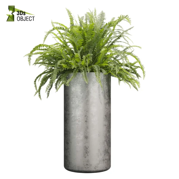 3d bush plant models botanical Visualization Landscape Foliage Vegetation buy purchase Rendering Environment tree Design high low poly greenhouse balcony decorative hamedorea 3D architectural visualization cinema 4d 3ds max blender enscpae fbx obj Rhino Sketchup lumion pot banana fern sansveria rubber grass purchase low poly