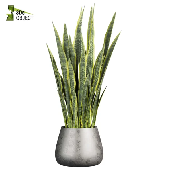 3d bush plant models botanical Visualization Landscape Foliage Vegetation buy purchase Rendering Environment tree Design high low poly greenhouse balcony decorative hamedorea 3D architectural visualization cinema 4d 3ds max blender enscpae fbx obj Rhino Sketchup lumion pot banana fern sansveria rubber grass purchase low poly