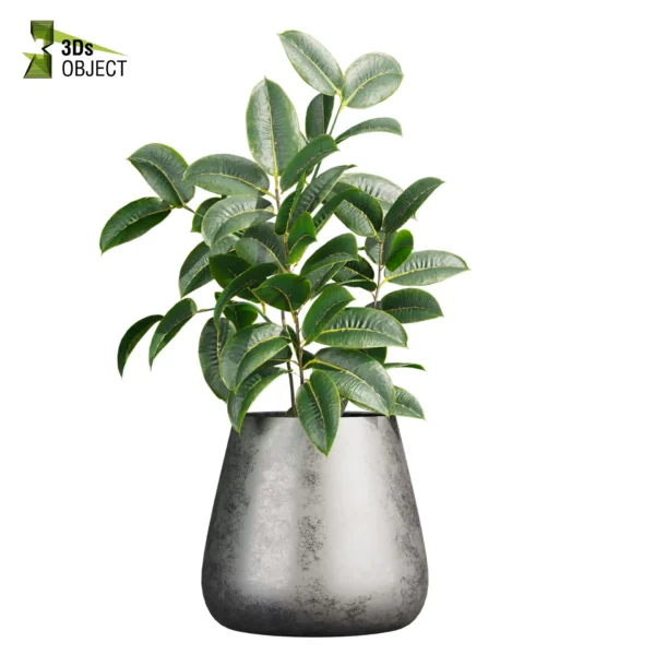 3d bush plant models botanical Visualization Landscape Foliage Vegetation buy purchase Rendering Environment tree Design high low poly greenhouse balcony decorative hamedorea 3D architectural visualization cinema 4d 3ds max blender enscpae fbx obj Rhino Sketchup lumion pot banana fern sansveria rubber grass purchase low poly