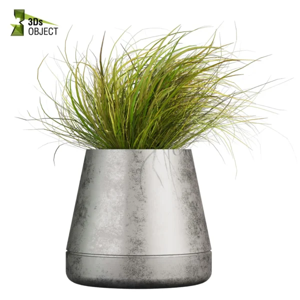 3d bush plant models botanical Visualization Landscape Foliage Vegetation buy purchase Rendering Environment tree Design high low poly greenhouse balcony decorative hamedorea 3D architectural visualization cinema 4d 3ds max blender enscpae fbx obj Rhino Sketchup lumion pot banana fern sansveria rubber grass purchase low poly